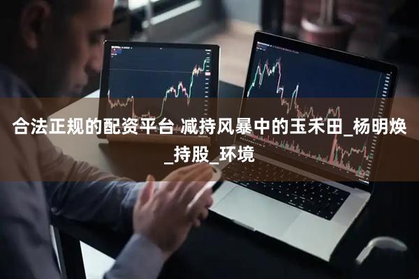 合法正规的配资平台 减持风暴中的玉禾田_杨明焕_持股_环境