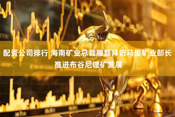 配资公司排行 海南矿业总裁滕磊拜访马里矿业部长 推进布谷尼锂矿发展