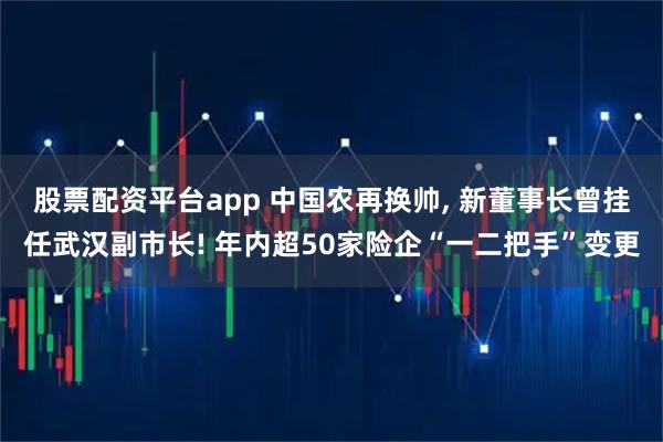 股票配资平台app 中国农再换帅, 新董事长曾挂任武汉副市长! 年内超50家险企“一二把手”变更